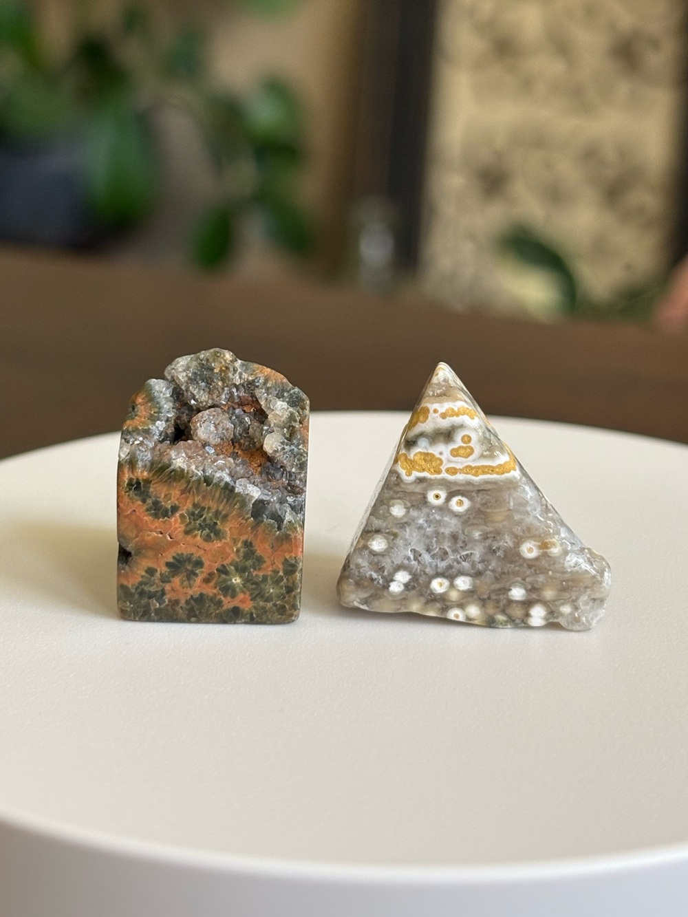 Small Ocean Jasper Crystal Set - Polished Sea Jasper Bundle - Orbicular Jasper